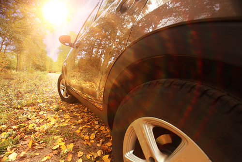 Cleaning car leaf stains from your paint