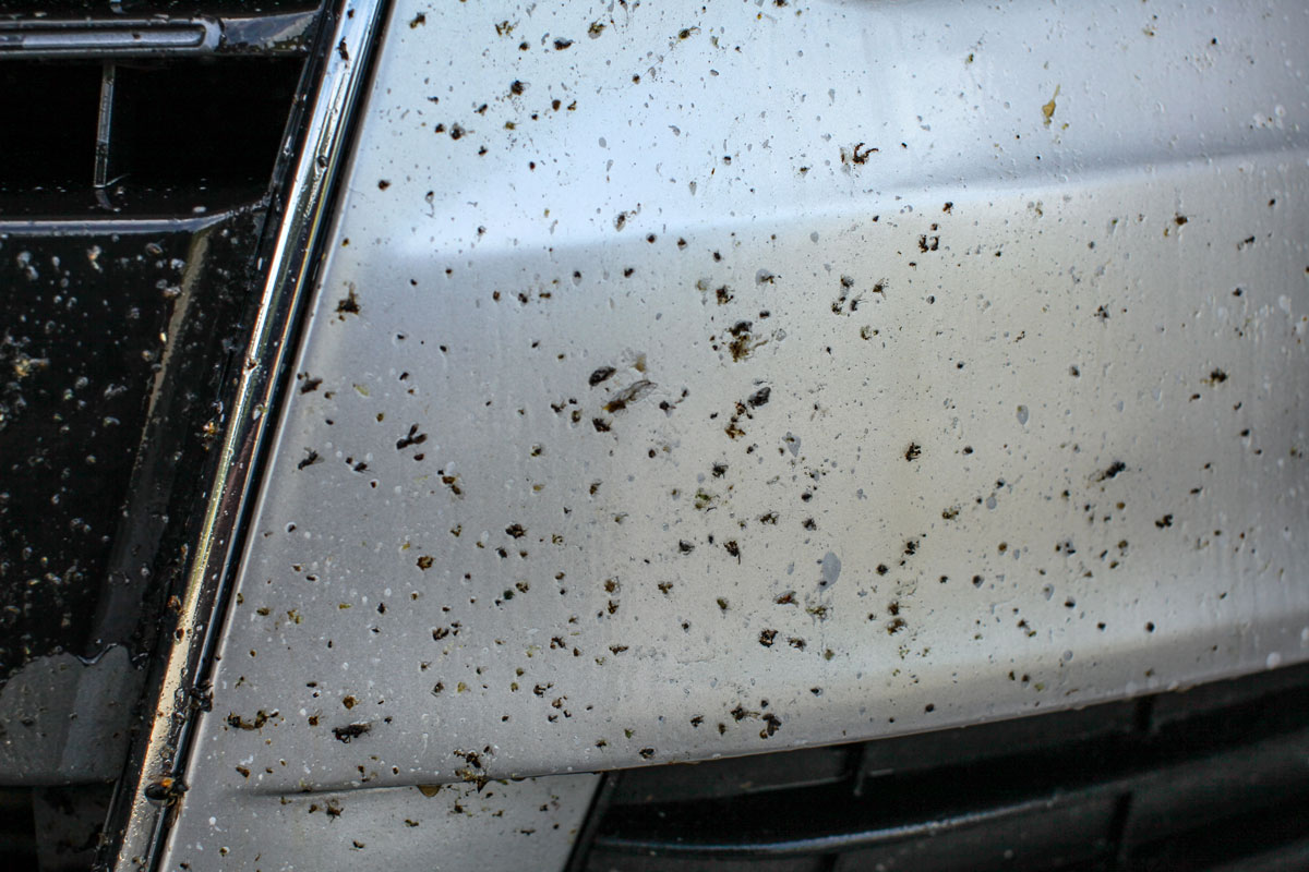 How to easily remove bugs on car